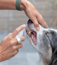Spray Higiene Dental