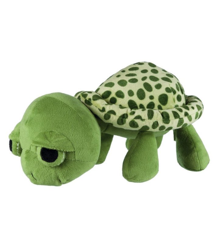 Tortuga
