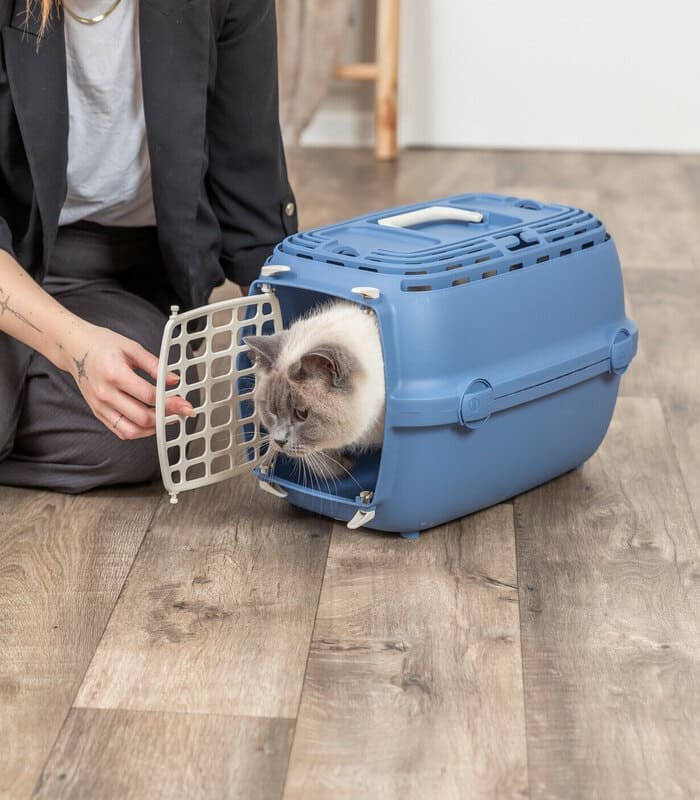 [398402] Transportbox Relax Azul
