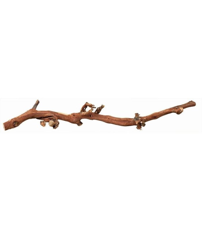 [76170] troncos chorrados de arena - talla 3: 45-70 cm