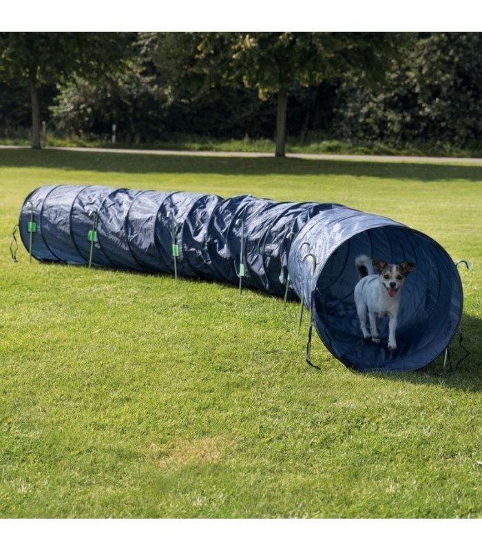 Túnel Básico para Agility