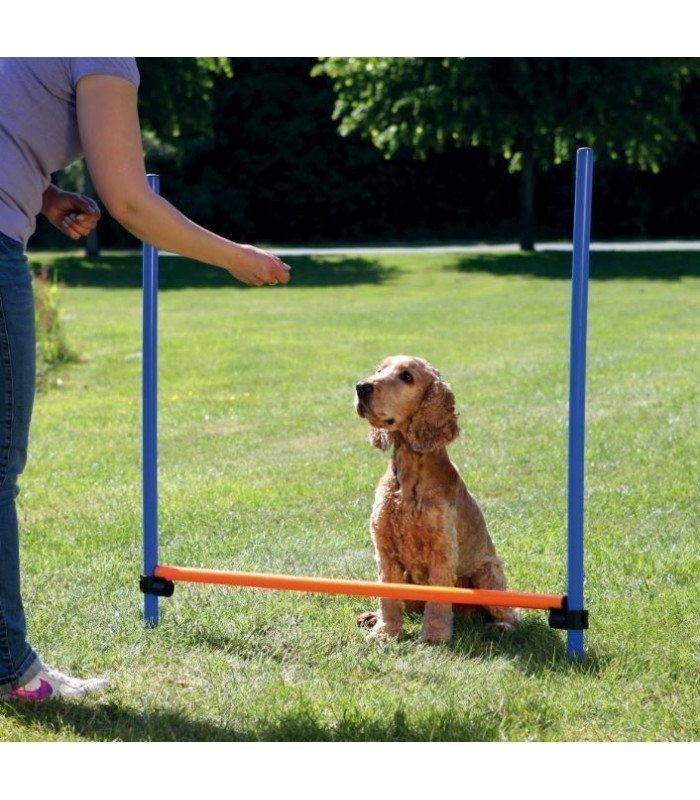 Valla para Agility