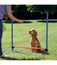 Valla para Agility