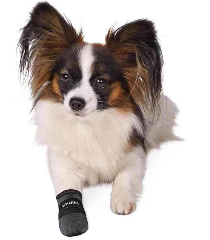 Botas Walker Care