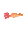 Pollo