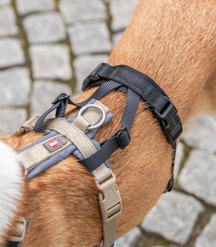 [13085] Adaptador antipánico Stay para arneses (Ref: 13085 Talla: S–M Medidas: 38–57 cm/15 mm)