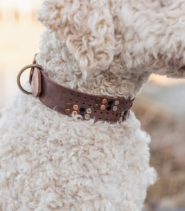 [18973] Rustic Collar con remaches (Ref: 18973 Talla: S–M)