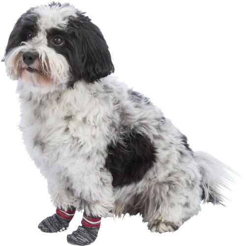 Calcetines Perro