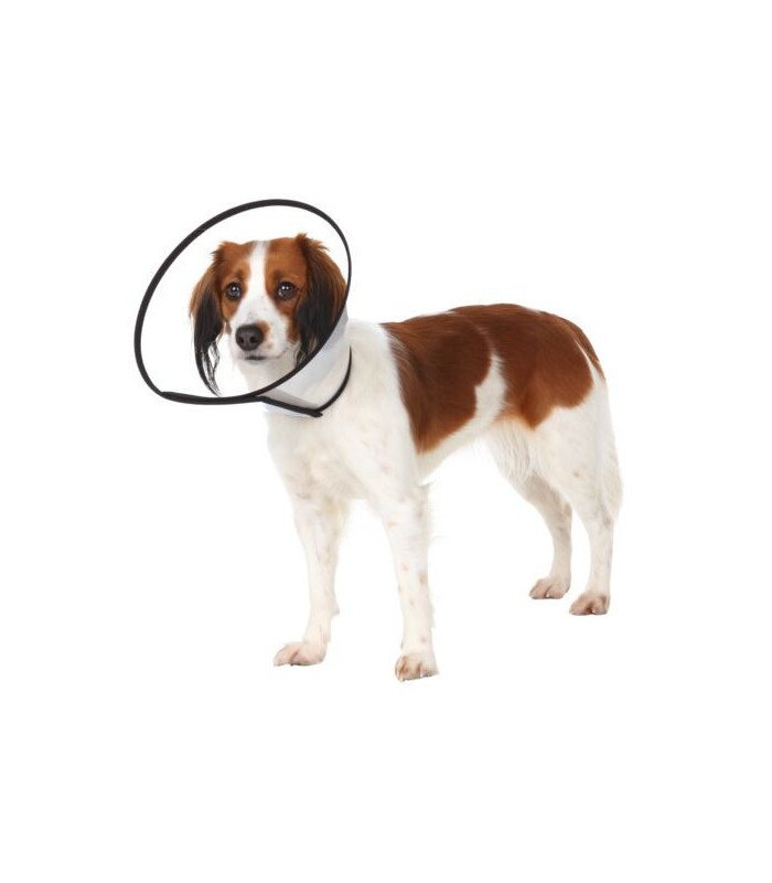 [19510] Collar Veterinario con cinta de cierre (Talla XS Medidas 18-23 cm/8 cm)