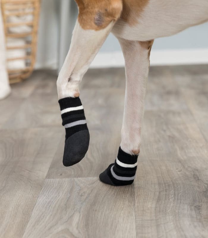 [19524] Calcetines Perro (Talla L por ejemplo Golden Retriever)