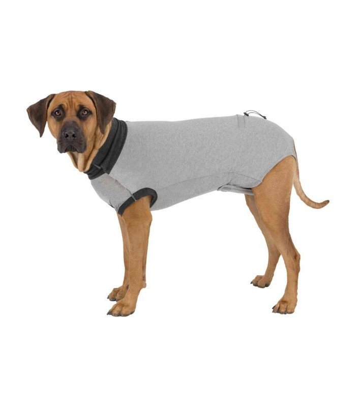Body Protector
