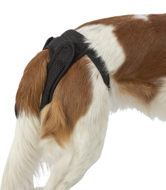 [23431] Braguitas Protectoras Comfort (Ref.: 23431 Talla: XS Perímetro abdominal: 22–31 cm)