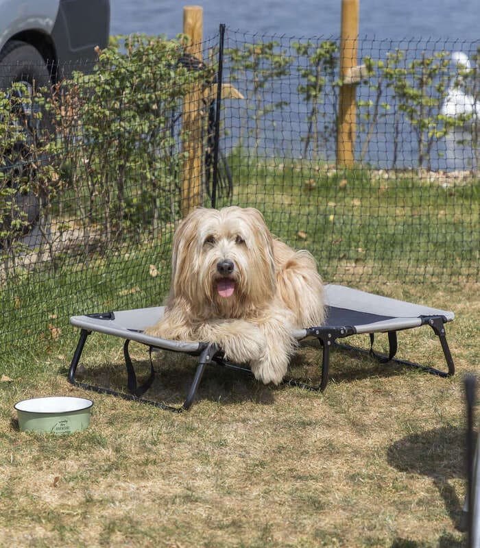 [28211] Tumbona Camping para perros (Medidas: 79 × 19 × 50 cm hasta: 15 kg)
