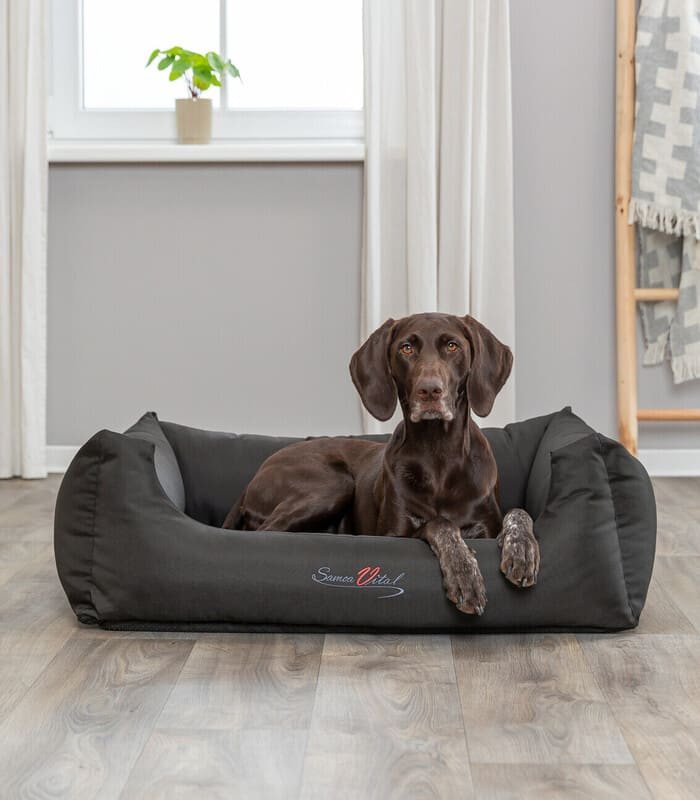 [28385] Cama Samoa Vital (Medidas: 65 × 50 cm)