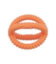 Juguete Acuático Anillo