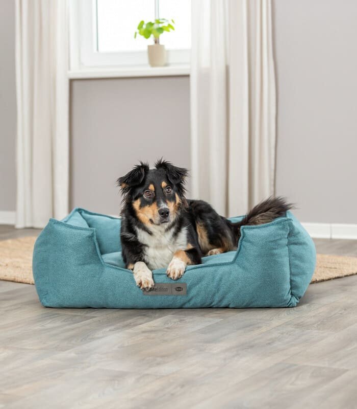 [37744] Cama para perros Liano (Ref: 37744 Medidas: 60 × 50 cm)