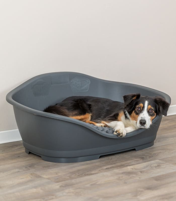 Cama de Plástico Sleeper