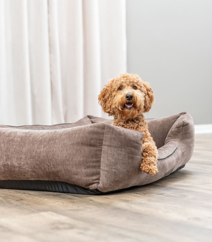 [371305] Vital Cama Lennox (Ref.: 371305 Medidas: 60 × 50 cm)