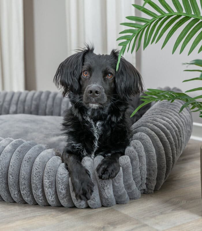 [374020] Cama Lonni (Ref: 374020 Medidas: 65 × 50 cm)