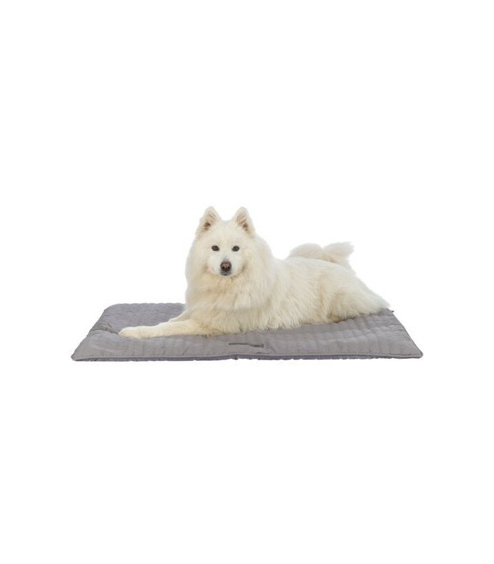 [377010] Colchoneta Marley Gris (Ref: 377010 Medidas: 70 × 50 cm)