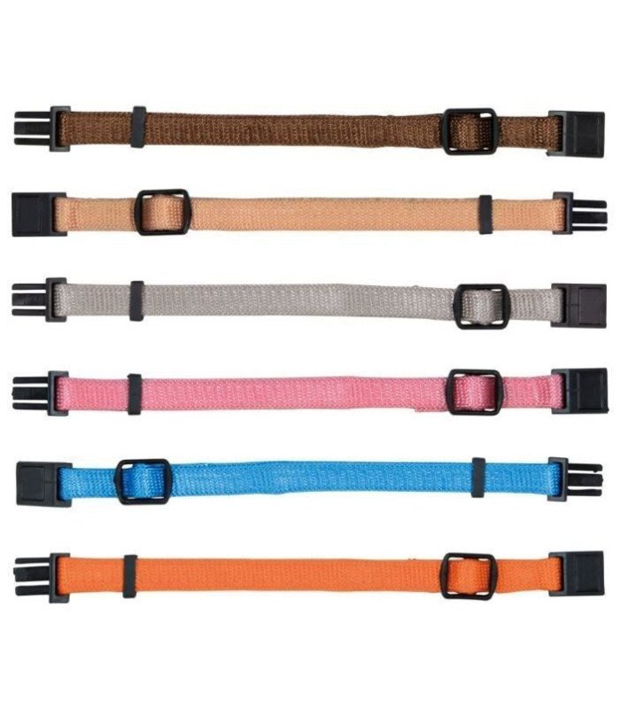 Set de Collar Cachorros