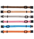 Set de Collar Cachorros
